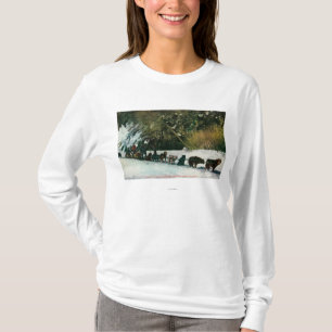 Yukon Dog Team dat door Alaska Canyon rijdt T-shirt