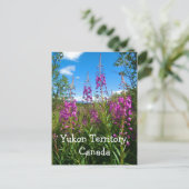 Yukon Fireweed Briefkaart (Staand voorkant)