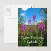 Yukon Fireweed Briefkaart (Voorkant / Achterkant)