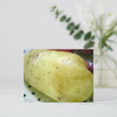 Yukon Gold-aardappel Briefkaart (Staand voorkant)