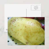 Yukon Gold-aardappel Briefkaart (Voorkant / Achterkant)