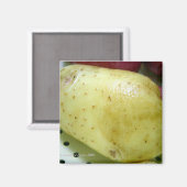 Yukon Gold-aardappel Magneet (Voorkant / Achterkant)