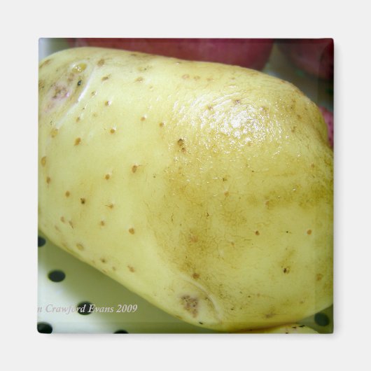 Yukon Gold-aardappel Magneet (Voorkant)