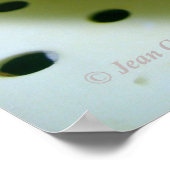 Yukon Gold-aardappel Poster (Hoek)