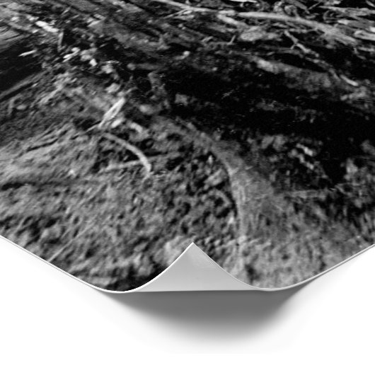 YUKON GOLD RUSH 1897 POSTER (Hoek)