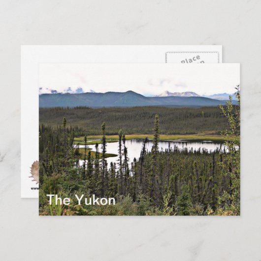 Yukon Pond Briefkaart (Voorkant / Achterkant)