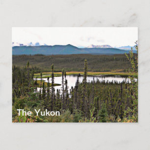 Yukon Pond Briefkaart