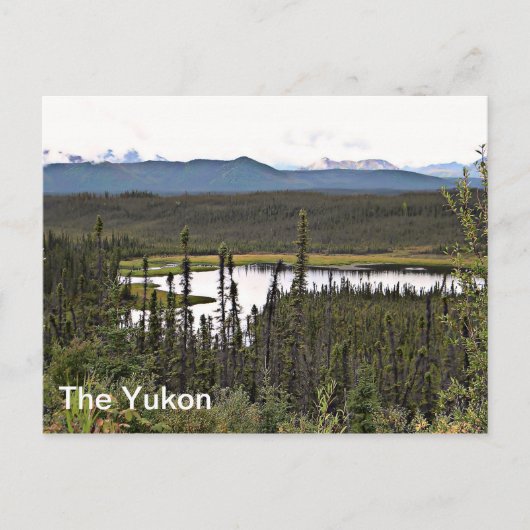 Yukon Pond Briefkaart (Voorkant)
