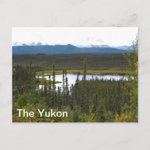 Yukon Pond Briefkaart