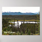 Yukon Pond Poster (Voorkant)