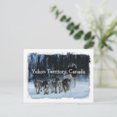 Yukon Quest Dogsled Team Yukon Territory, Canada Briefkaart (Staand voorkant)