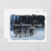 Yukon Quest Dogsled Team Yukon Territory, Canada Briefkaart (Voorkant / Achterkant)