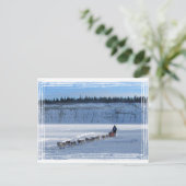 Yukon Quest Team Briefkaart (Staand voorkant)