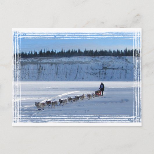 Yukon Quest Team Briefkaart (Voorkant)