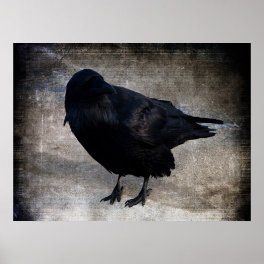 Yukon Raven Grunge Poster (Voorkant)