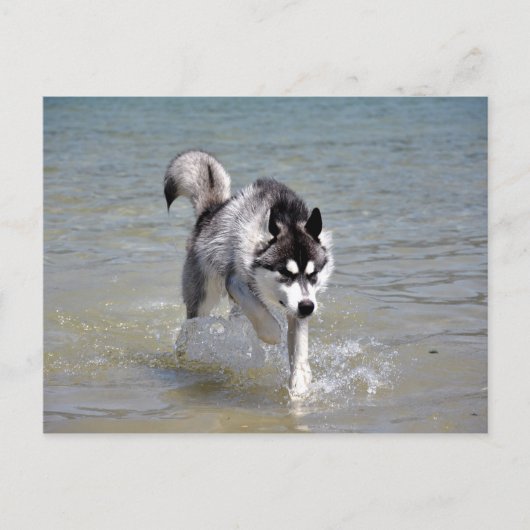 YukonWasser Briefkaart (Voorkant)