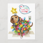 Yule Dog Briefkaart (Voorkant)