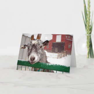 Yule Goat Feestdagen Kaart