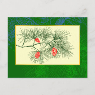 Yule Pine Branch  Art Post Kaart