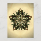 Yule Star Briefkaart (Voorkant)