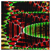 Yule vlooien..... stof (Close Up)