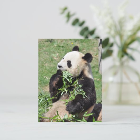 Yum Bamboo! Panda Briefkaart (Staand voorkant)