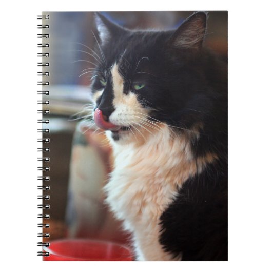 Yum! Tasty Kat Behandelt! Notitieboek (Voorkant)