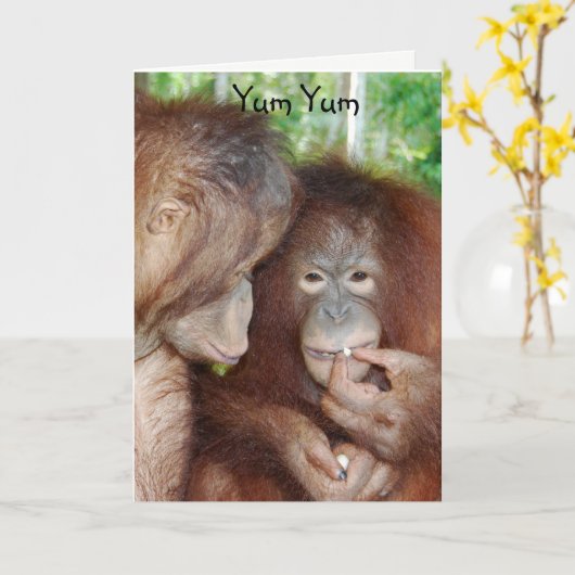 Yum Yum Happy Birthday Treats Kaart (Gele Bloem)