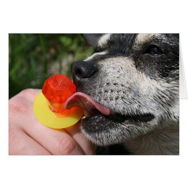 Yummy (Voorkant Horizontaal)