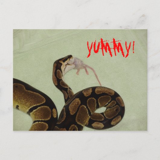 Yummy Briefkaart (Voorkant)