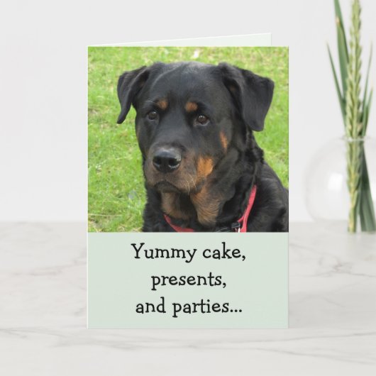 Yummy Cake Rottweiler Birthday Card Kaart (Voorkant)