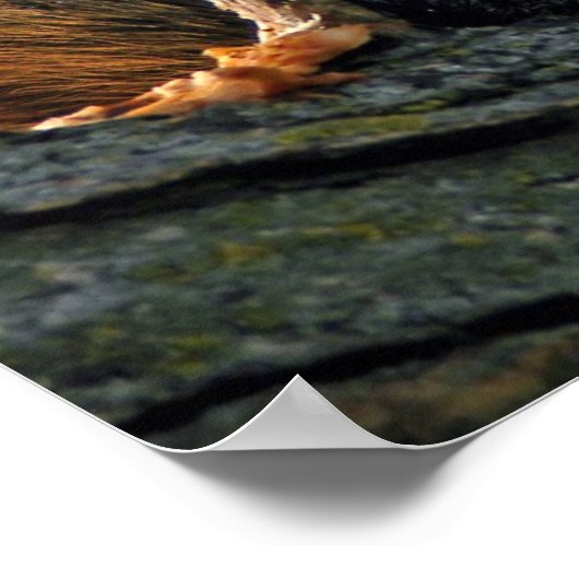 Yummy in mijn buik poster (Hoek)