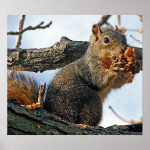 Yummy in mijn buik poster
