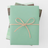 Yummy Mint Groene Chocolade Chip Kleur Combo Inpakpapier Vel (In situ)