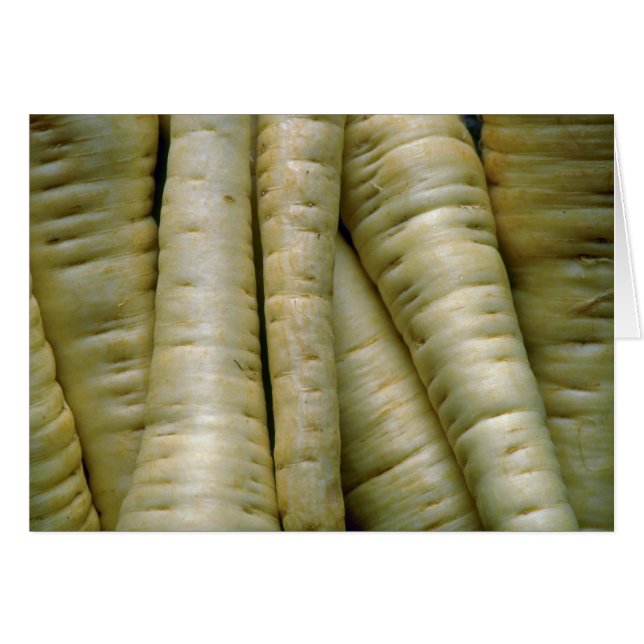 Yummy Parsnips (Voorkant Horizontaal)