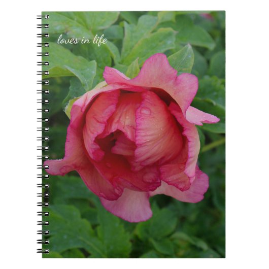 Yummy Pink Blooming Peony Notitieboek (Voorkant)
