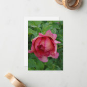 Yummy Pink Blooming Peony Notitiekaartje (Voorkant / Achterkant in situ)