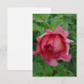 Yummy Pink Blooming Peony Notitiekaartje (Voorkant / Achterkant)