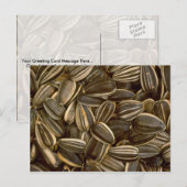 Yummy Sunflower seed Briefkaart (Voorkant / Achterkant)