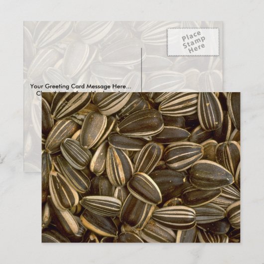 Yummy Sunflower seed Briefkaart (Voorkant / Achterkant)