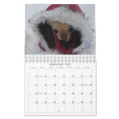 YumYum 2014-kalender Kalender (Feb 2026)