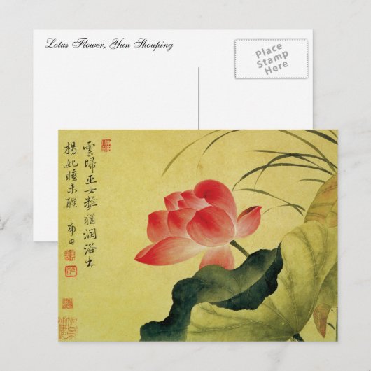 Yun Shouping's Lotus Flower Briefkaart (Voorkant / Achterkant)