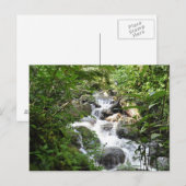 Yunque Rain Forest, Puerto Rico Briefkaart (Voorkant / Achterkant)