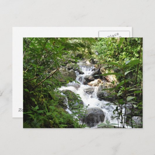 Yunque Rain Forest, Puerto Rico Briefkaart (Voorkant / Achterkant)