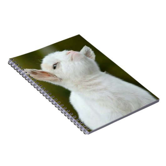 Yup Notitieboek (Rechterzijde)