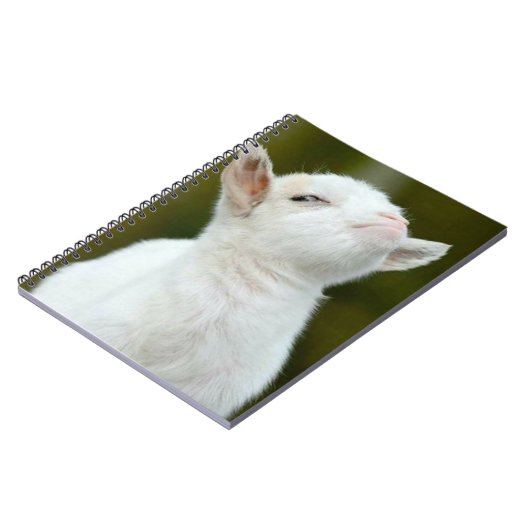 Yup Notitieboek (Linkerzijde)