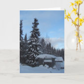 Yup'ik Maqii (Stoombad) Dillingham, Alaska Kaart (Gele Bloem)