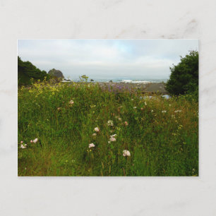 Yurok Loop Trail in Redwood National Park Briefkaart