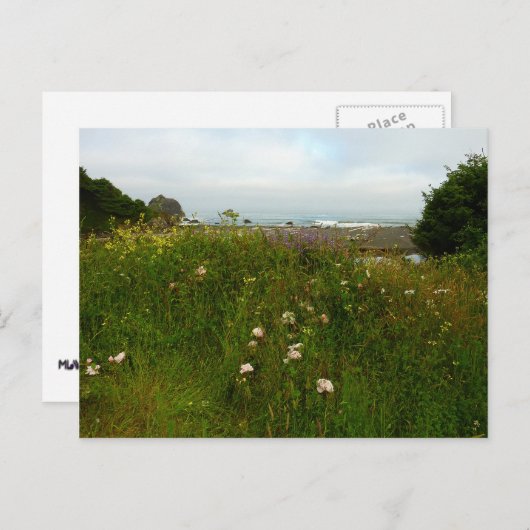 Yurok Loop Trail in Redwood National Park Briefkaart (Voorkant / Achterkant)