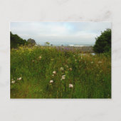 Yurok Loop Trail in Redwood National Park Briefkaart (Voorkant)